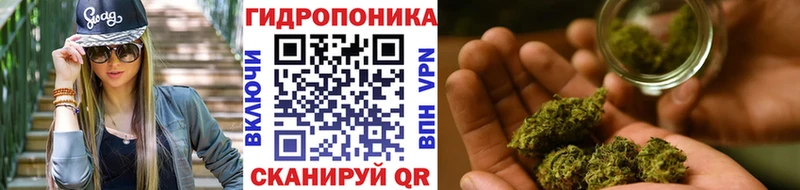 Купить закладку СК МЕФ Галлюциногенные грибы Каннабис Пионерский