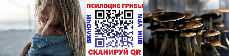 Купить  Пионерский  Псилоцибиновые грибы MAGIC MUSHROOMS 